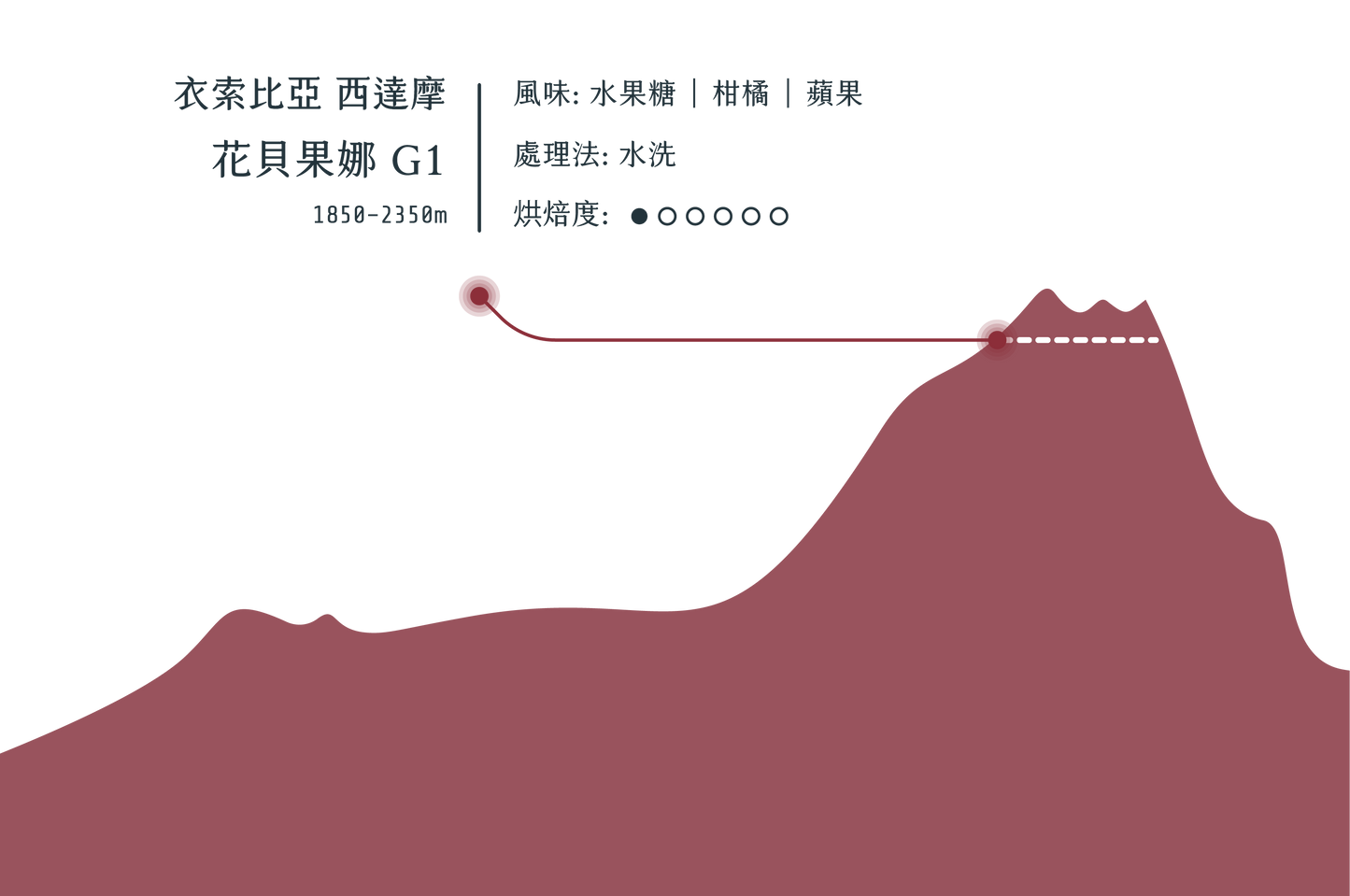 ⻄達摩 花貝果娜 G1