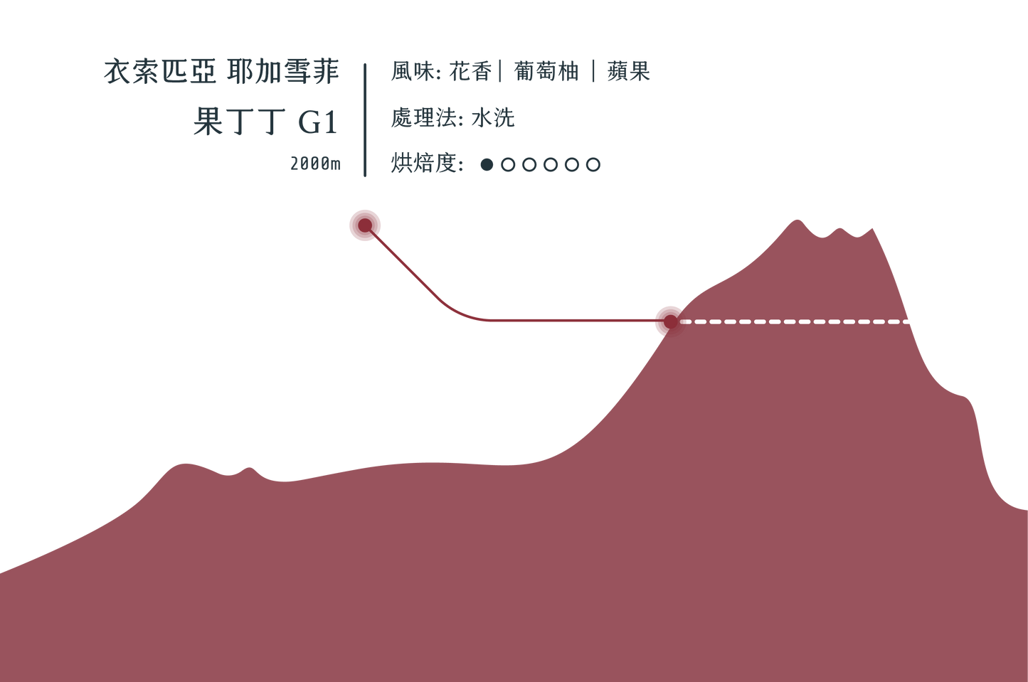 耶加雪菲 果丁丁 G1