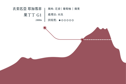 耶加雪菲 果丁丁 G1