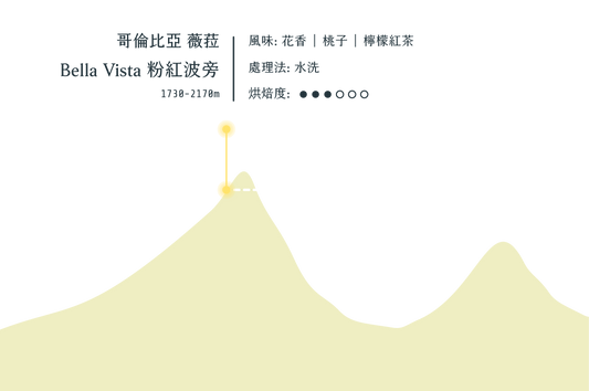 薇菈 Bella Vista 粉紅波旁