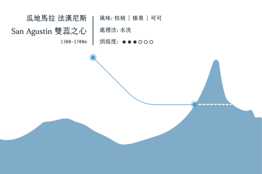 San Agustin 雙蕊之心