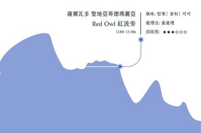 梅賽德斯 Red Owl 紅波旁