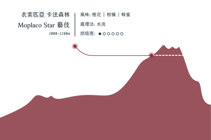 卡法森林 香水檸檬 藝伎