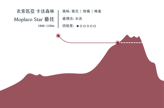 卡法森林 香水檸檬 藝伎